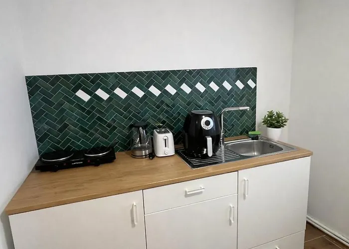 Apartment Ehrenbreitstein Perfect For Workers & Groups Koblenz (Rhineland-Palatinate)